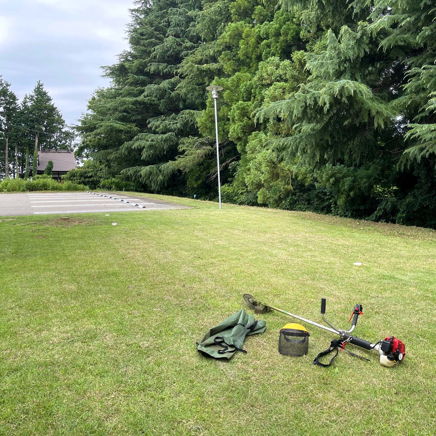 草刈り　今年２回目