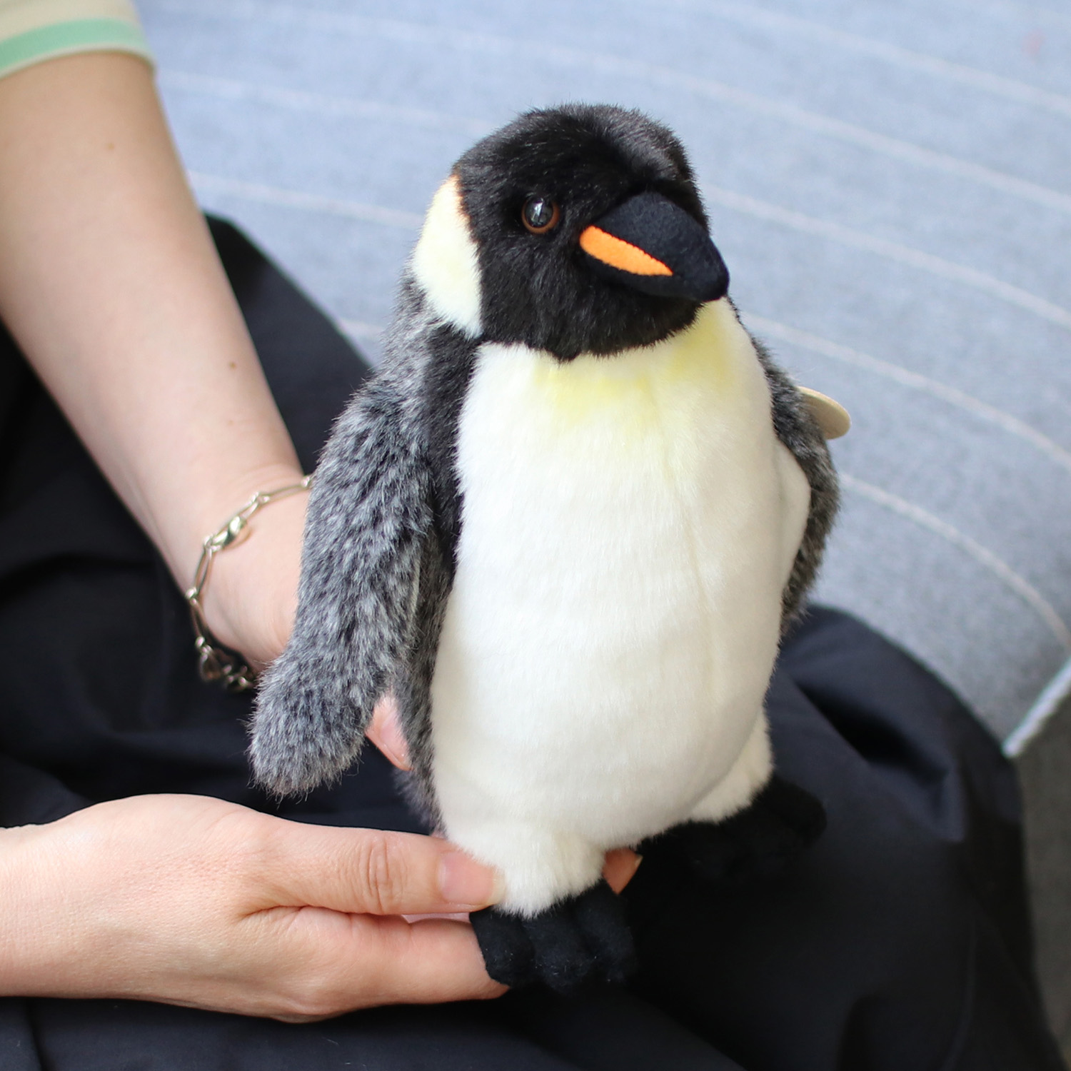 WWF エンペラーペンギン、いい顔してる。 | dupon35｜デュポン35