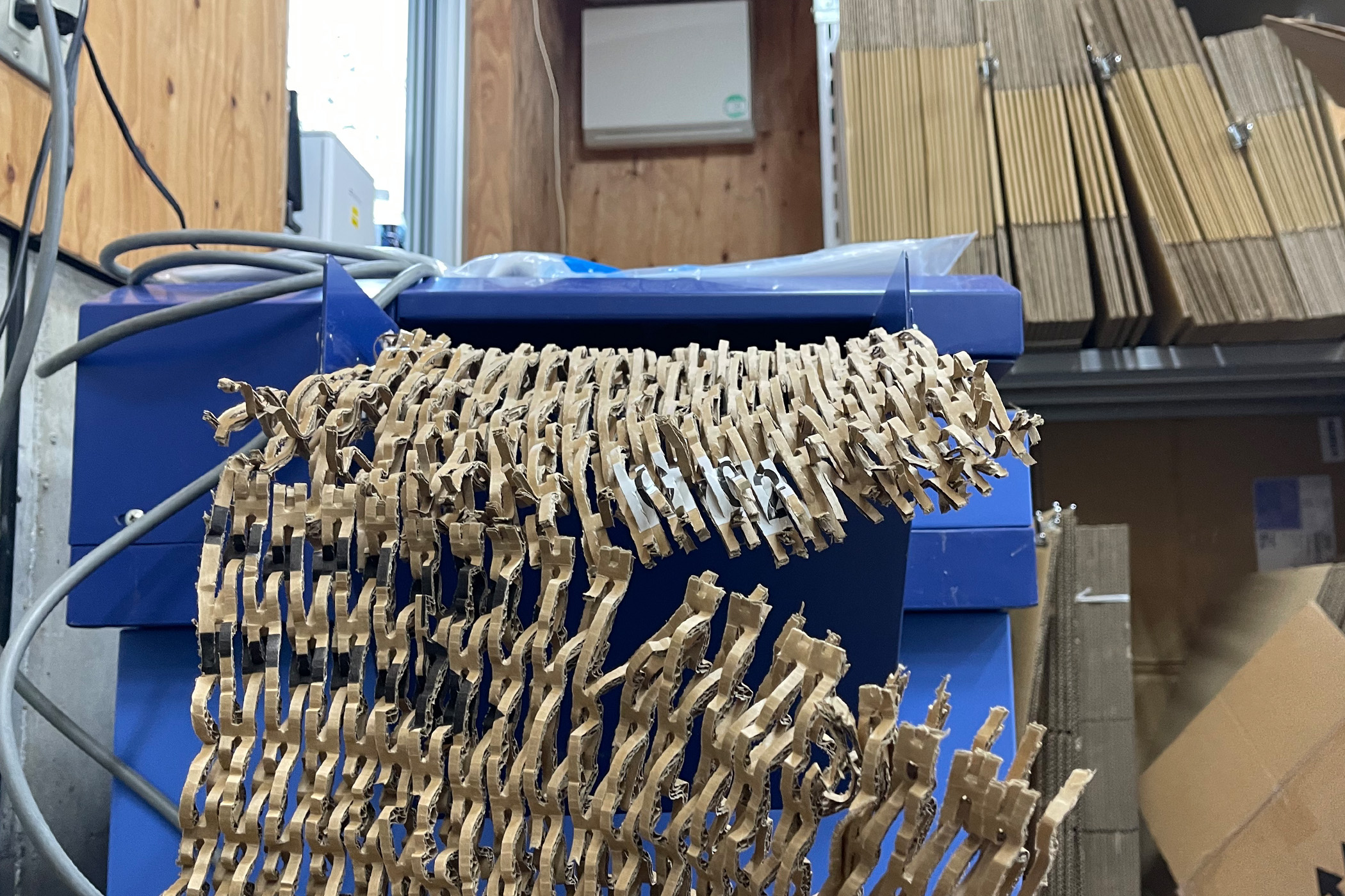 今日から発送開始