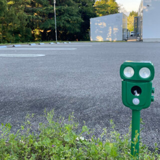 いのしし対策