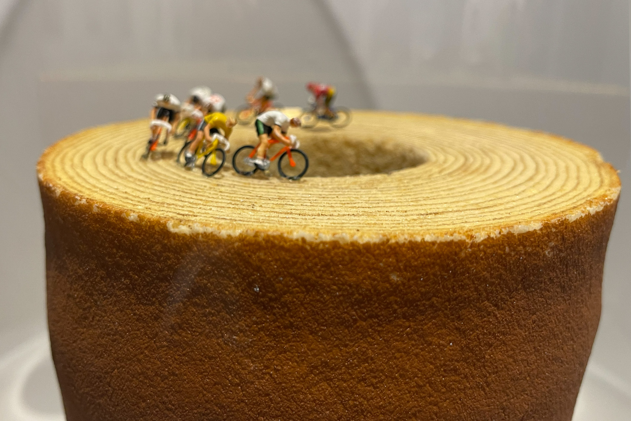 MINIATURE LIFE展